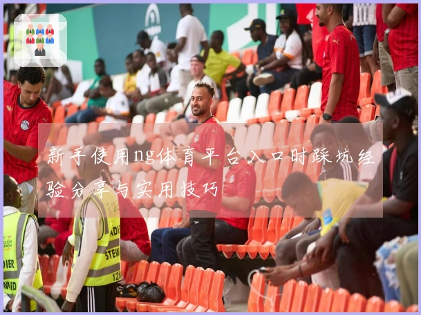 新手使用ng体育平台入口时踩坑经验分享与实用技巧