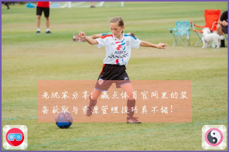 老玩家分享：赢点体育官网里的装备获取与资源管理技巧真不错！