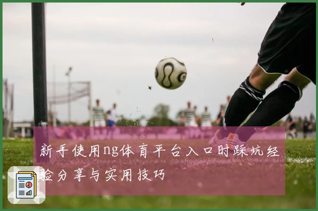 新手使用ng体育平台入口时踩坑经验分享与实用技巧